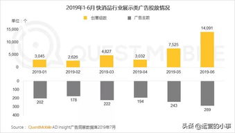 2019移动互联网广告营销半年报告 广告收入增速腰斩，互联网销售面临新挑战